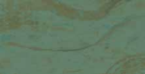 Forest Green 9.png
